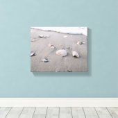 Toile Coques Sur Sable (Insitu (Plancher de Bois))