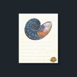 Toile Coquillage romantique<br><div class="desc">Vivez-vous loin de la plage ? Pas de problème ! Profitez de ce tableau romantique de coquillages pour vous faire une image sur une plage paisible par beau temps. Cette oeuvre d'art romance la mer et les petites vagues qui vous laisseront rêver d'une visite à la plage. Obtenez ce panneau de...</div>