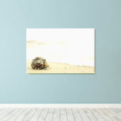 Toile Coquillage Seul Sur La Plage (Insitu (Plancher de Bois))