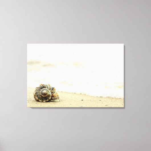 Toile Coquillage Seul Sur La Plage (Recto)