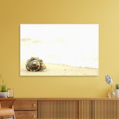 Toile Coquillage Seul Sur La Plage (Insitu(Salon))
