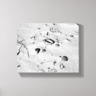Toile Coquillages noirs et blancs dans le sable 8x10