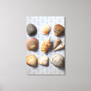 Toile Coquillages sur le contexte d'Ancre