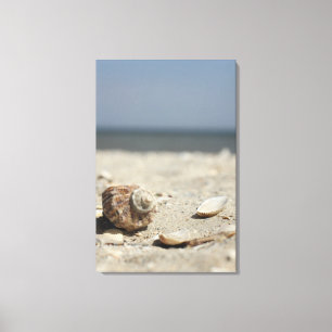 Toile Coquillages sur le sable par la mer