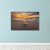 Toile Coquille À La Plage Au Coucher Du Soleil | Île de  (Insitu (Plancher de Bois))