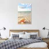 Toile Coquille De Conche Dans Le Sable Sur La Plage Trop (Insitu(Chambre))