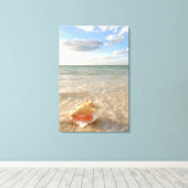 Toile Coquille De Conche Dans Le Sable Sur La Plage Trop (Insitu (Plancher de Bois))