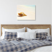 Toile Coquille De Conche Sur La Plage 3 (Insitu(Chambre))