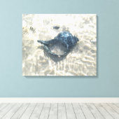 Toile Coquille de mer noire (Insitu (Plancher de Bois))