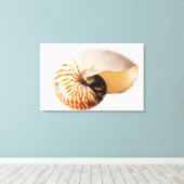 Toile Coquille de Nautilus (Nautilus stenomphalus) (Insitu (Plancher de Bois))