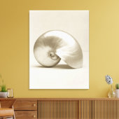 Toile Coquille marine de nausolée perlée (Insitu(Salon))