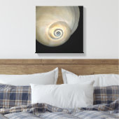 Toile Coquille naticique (Insitu(Chambre))