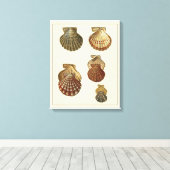 Toile Coquilles antiques craquelées (Insitu (Plancher de Bois))