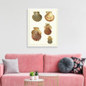 Toile Coquilles antiques craquelées (Insitu(Salon))