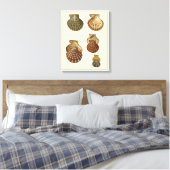 Toile Coquilles antiques craquelées (Insitu(Chambre))