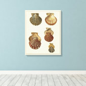 Toile Coquilles antiques craquelées (Insitu (Plancher de Bois))