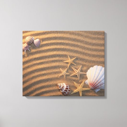 Toile Coquilles De Mer Et Éternuers (Recto)