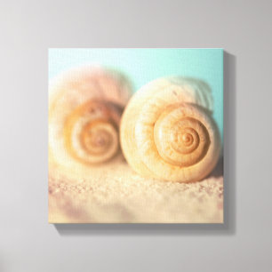 Toile Coquilles de Nautilus sur la plage