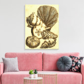Toile Coquilles neutres et collection de corail (Insitu(Salon))