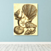 Toile Coquilles neutres et collection de corail (Insitu (Plancher de Bois))