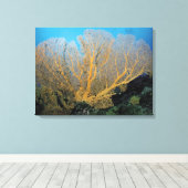 Toile Corail gorgonien (Insitu (Plancher de Bois))