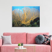 Toile Corail gorgonien (Insitu(Salon))