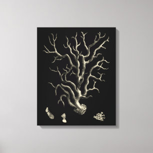 Toile Corail noir et tan