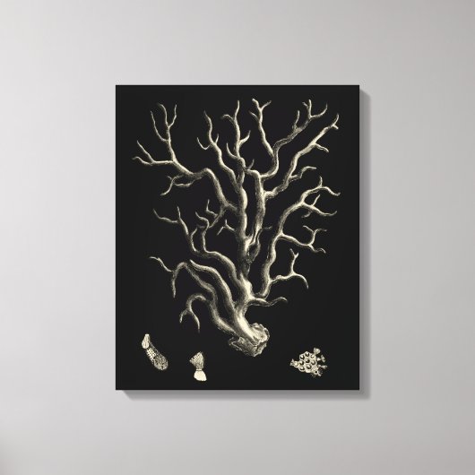 Toile Corail noir et tan (Recto)