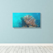 Toile CORAIL SUR CANVAS 20 "x 16" (Insitu (Plancher de Bois))