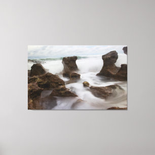 Toile Coral Cove Park plage et vagues