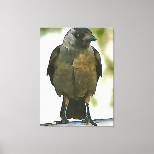 Toile Corbeau à capuchon noir perché sur un art balustra