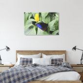 Toile Corbeau bleu rayé (Euploea mulciber) sur la feuill (Insitu(Chambre))