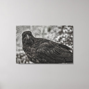 Toile Corbeau P9239