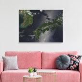 Toile Corée du Nord et Corée du Sud, (Insitu(Salon))