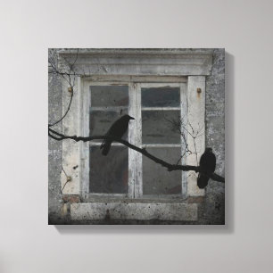 Toile Corneilles industrielles