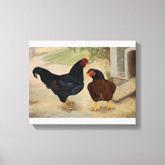 Toile Cornish Rooster et Hen (Recto)