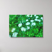 Toile Cornus sanguinea (Recto)