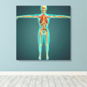 Toile Corps humain montrant le système squelettique, art (Insitu (Plancher de Bois))