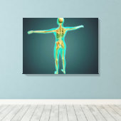 Toile Corps humain montrant le système squelettique, art (Insitu (Plancher de Bois))