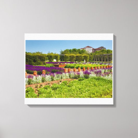 Toile corridor de fleurs de sauge violette et de stachys (Recto)