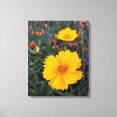 Toile Cosmos Orange Dans La Photo Avant-Plan (Recto)