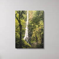 Costa Rica, île Cocos, cascade de Wafer Bay
