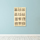 Toile Costumes (Insitu (Plancher de Bois))