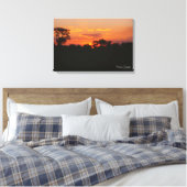Toile Coucher de soleil Acacia (Insitu(Chambre))