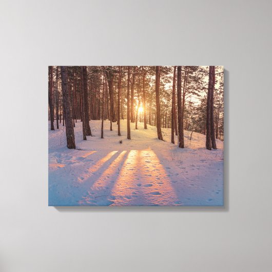 Toile Coucher de soleil dans la pinède d'hiver (Recto)