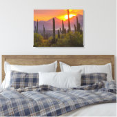 Toile Coucher de soleil de cactus du désert, Arizona (Insitu(Chambre))