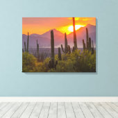 Toile Coucher de soleil de cactus du désert, Arizona (Insitu (Plancher de Bois))