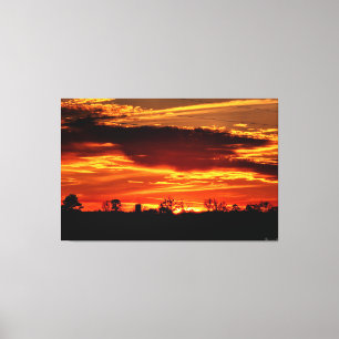 Toile Coucher de soleil enflammé sur des arbres en silho