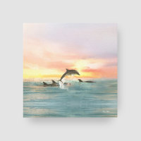 Coucher de soleil tropical du dauphin | Aquarelle