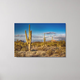 Toile Coucher du soleil de cactus en Arizona